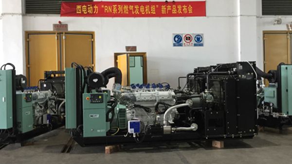 Groupe électrogène au biogaz au Myanmar